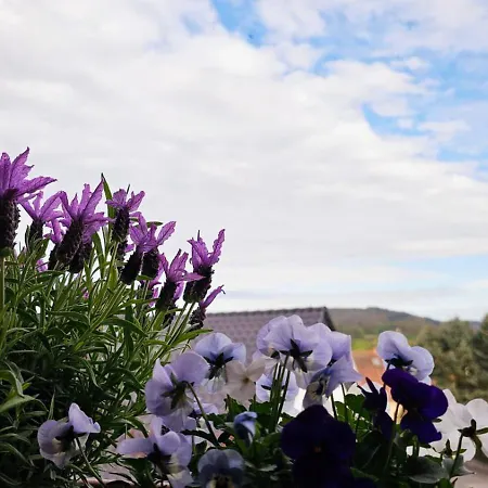 Апартаменты Krueger 'apartment Moni'