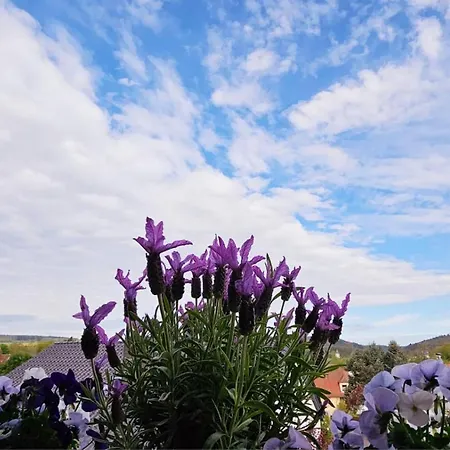 Krueger 'apartment Moni'