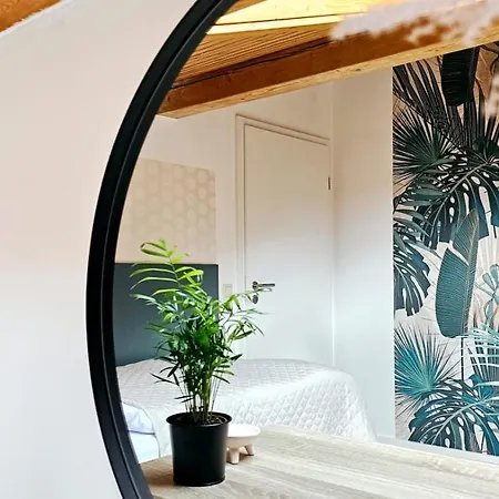 Апартаменты Krueger 'apartment Moni' *