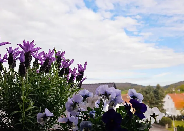 Apartment Krüger 'apartment Moni'